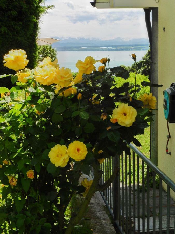 Ferienresidenz Ueber'M See Hagnau Dış mekan fotoğraf